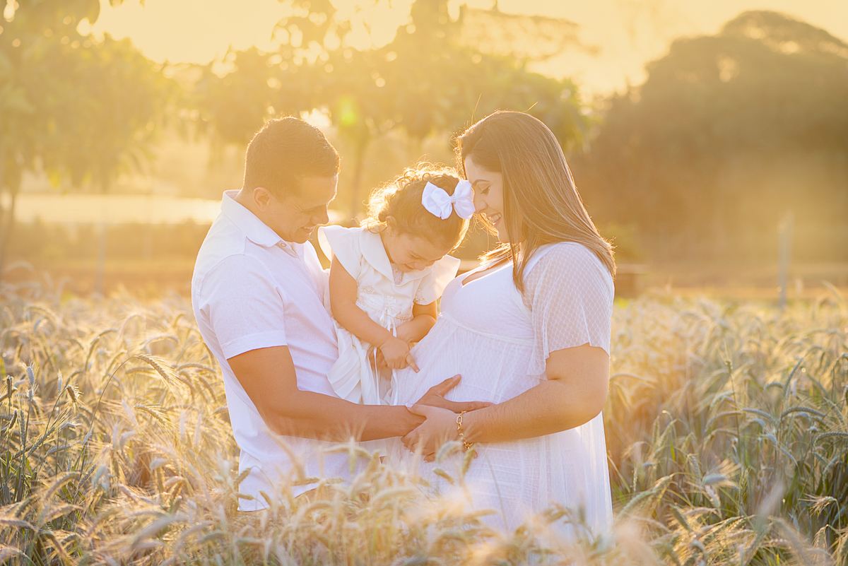 Ensaio gestante campos de flores Holambra Dammarys Dias Fotografias Limeira SP Estudio Histórias e Memórias