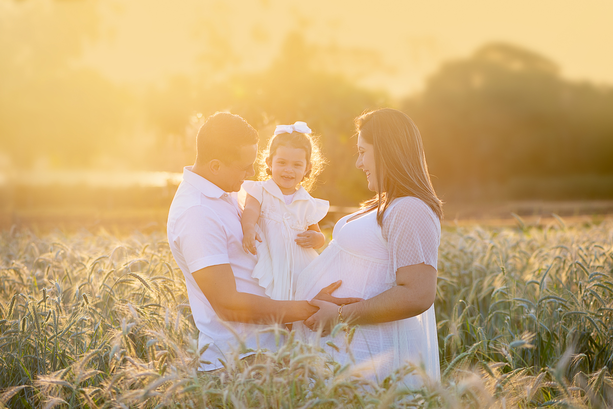 Ensaio gestante campos de flores Holambra Dammarys Dias Fotografias Limeira SP Estudio Histórias e Memórias