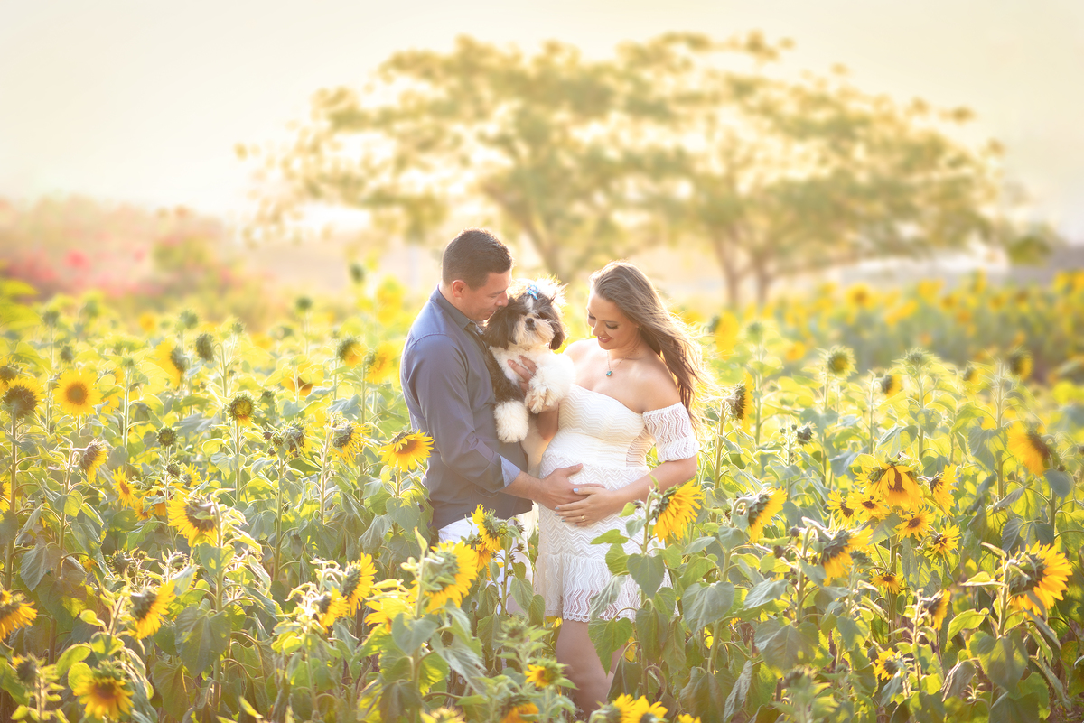 Ensaio gestante campos de flores Holambra Dammarys Dias Fotografias Limeira SP Estudio Histórias e Memórias