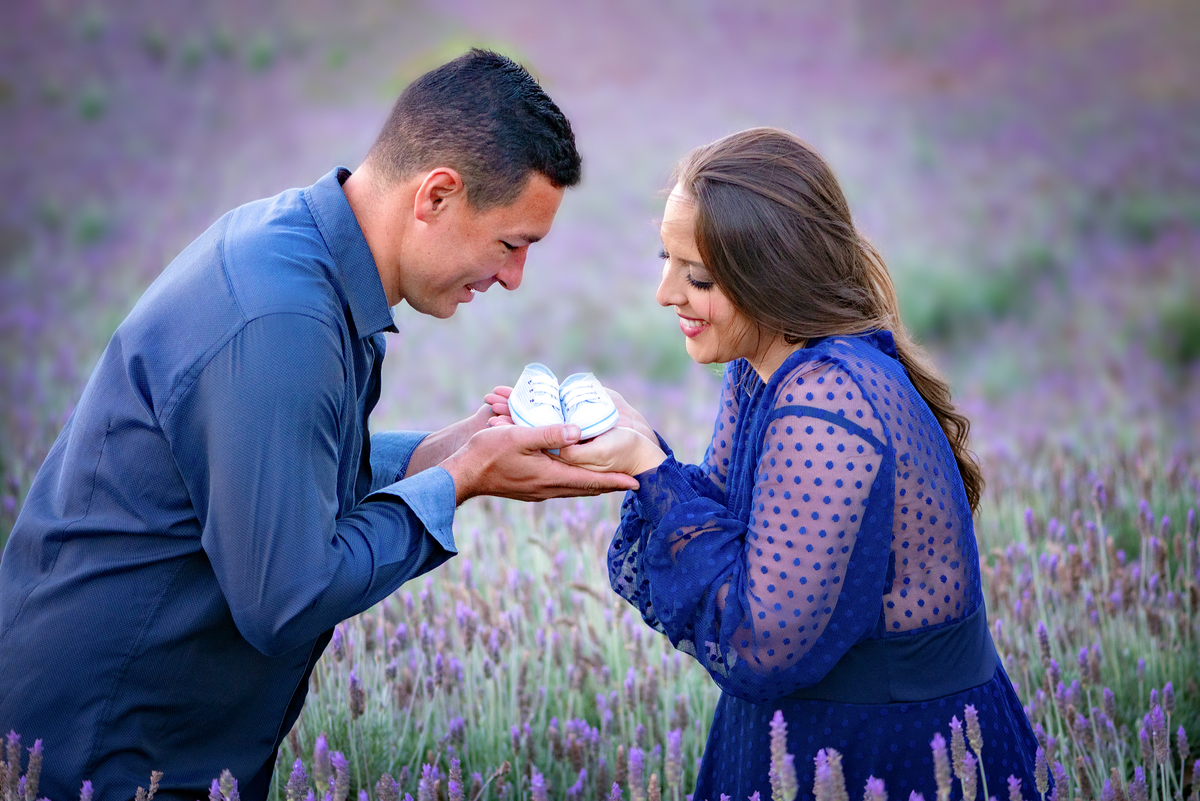 Ensaio gestante campos de flores Holambra Dammarys Dias Fotografias Limeira SP Estudio Histórias e Memórias