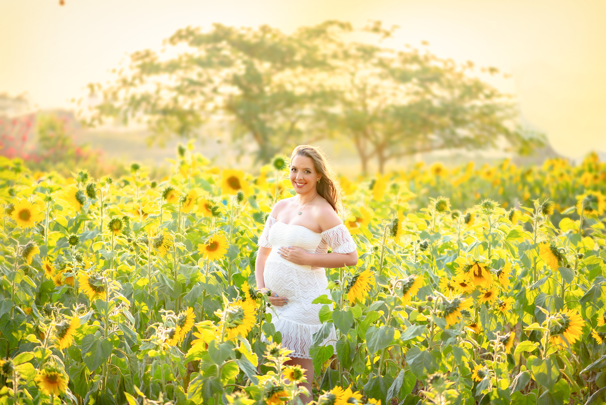 Ensaio gestante campos de flores Holambra Dammarys Dias Fotografias Limeira SP Estudio Histórias e Memórias