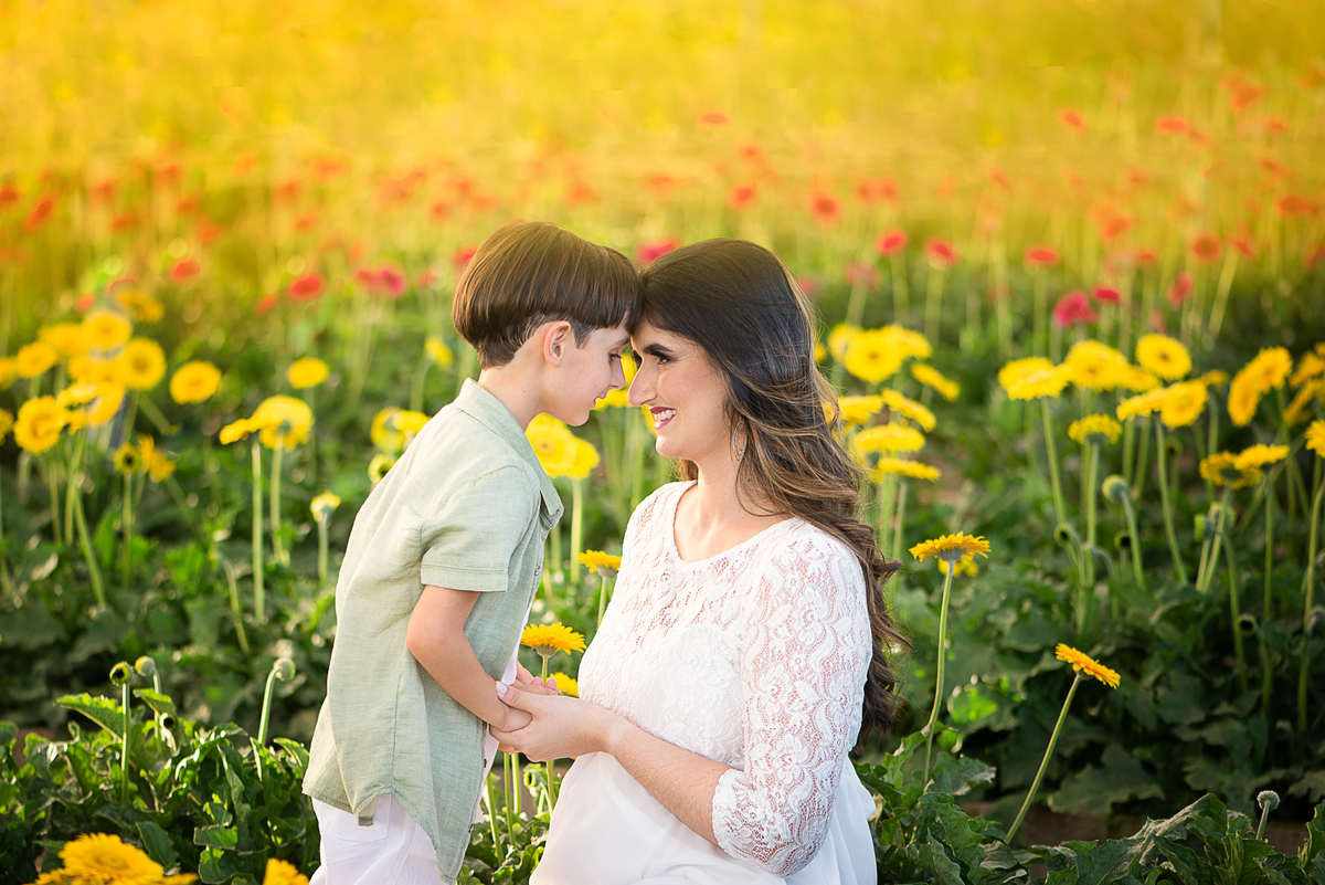Ensaio gestante ao livre em Holambra Dammarys Dias Fotografias