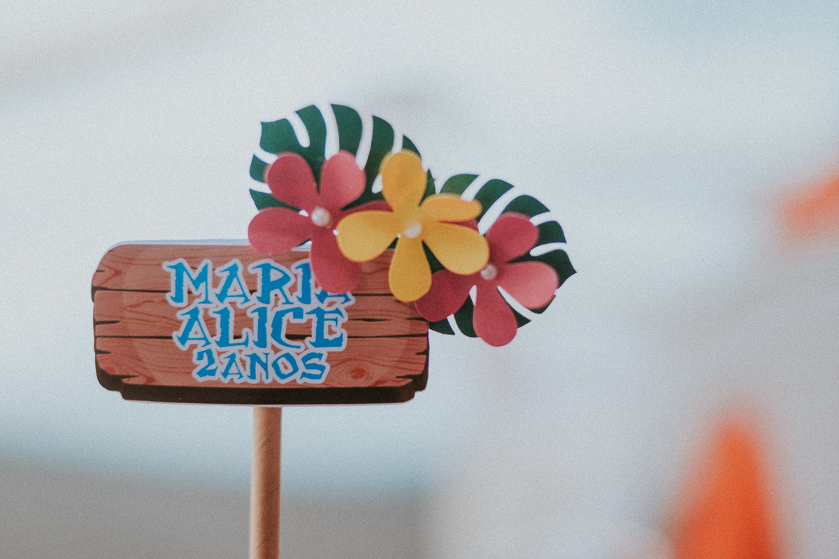 Fotografo de aniversário infantil da Maria Alice em Rondonópolis, Fotografo Sergio Simões de Rondonópolis 