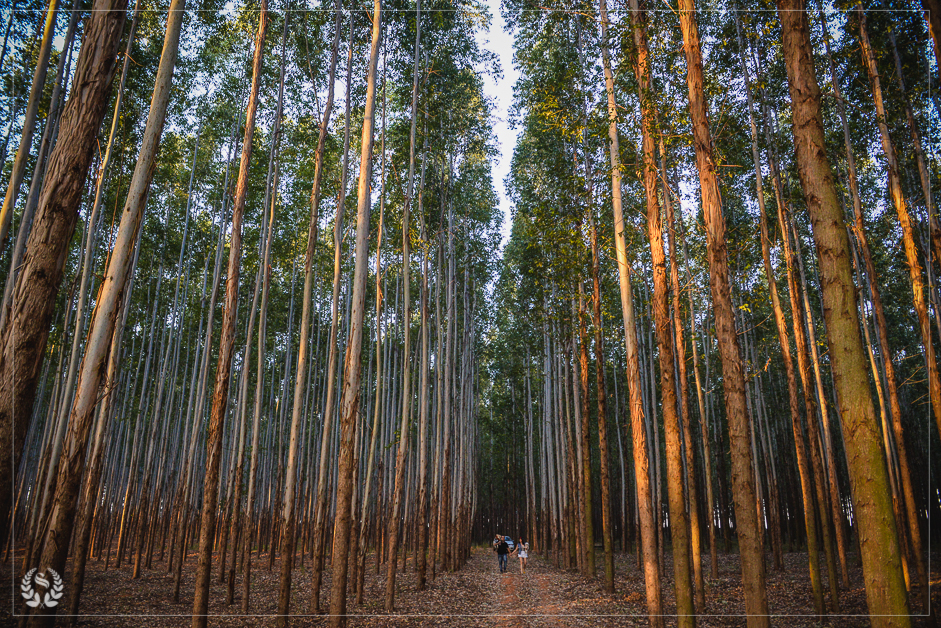 Ensaio de casal com fotografo Sergio Simões, ensaio fotografico de Rondonópolis em Parapuã  São Paulo, fotografo de familia, fotografo de casamento Sergio Simões