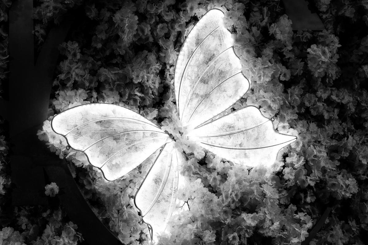 Detalhe da decoração da festa de 15 anos da Maria Clara, com elementos florais e borboleta.
