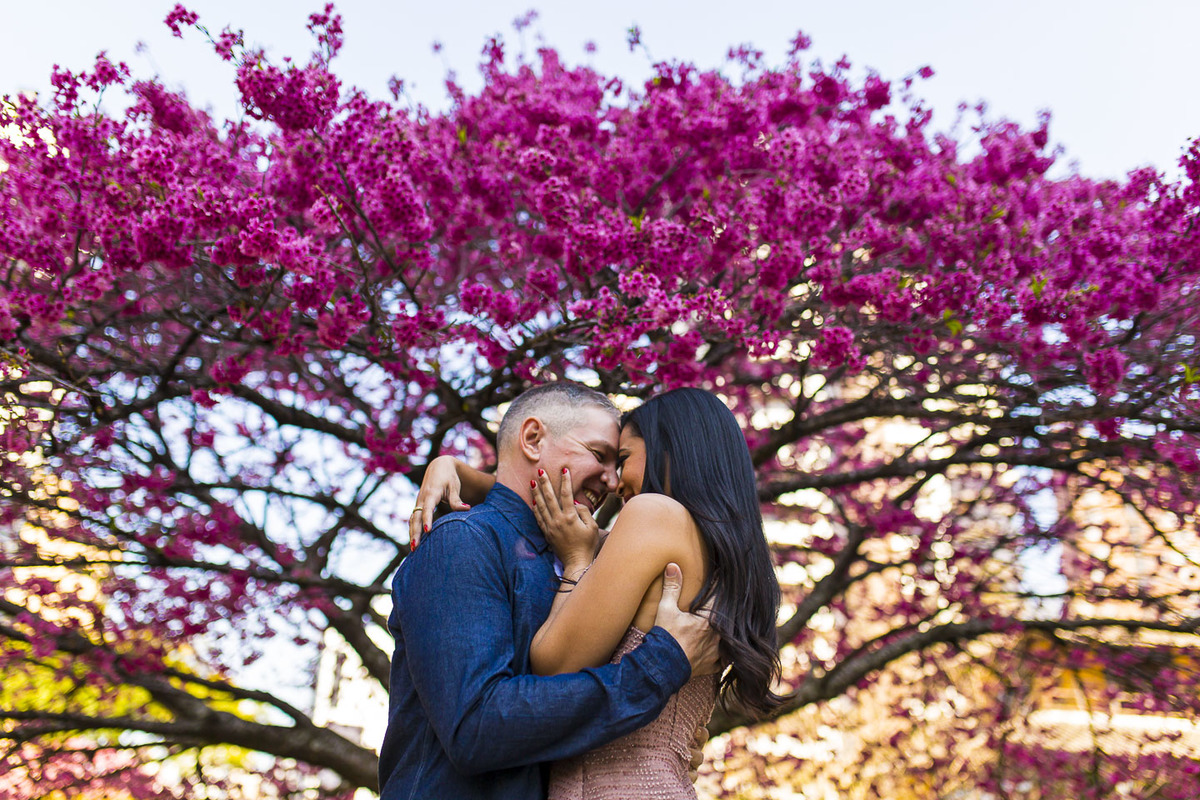 fotografia de casamento, belo horizonte, pedro leopoldo, curitiba, ensaio casal, pré wedding, paraná, fotógrafo, victor ataide, pré casamento, fotos noivas, ipê rôxo, árvore
