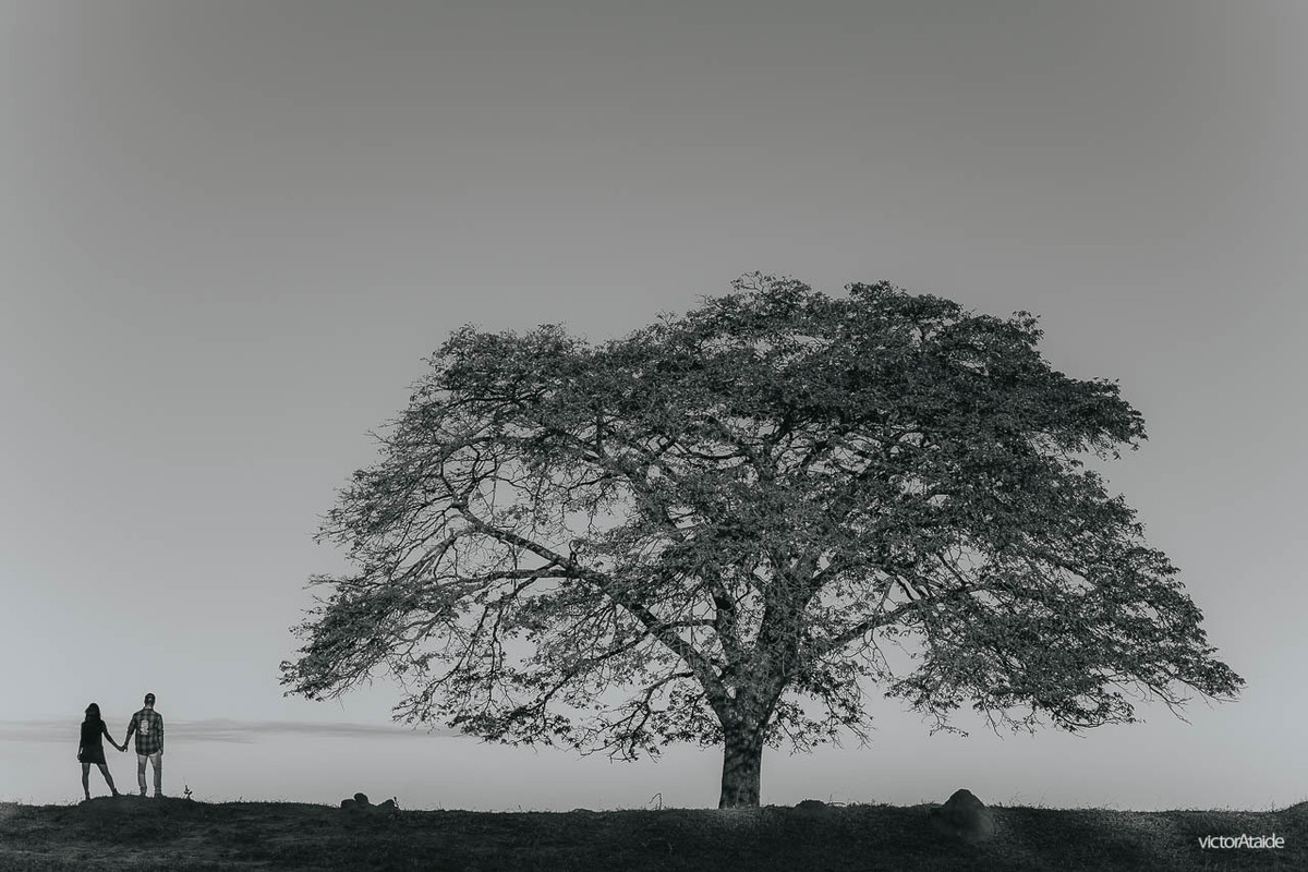 abraço, sirriso, casamento, casar de dia, cedro do abaeté, ensaio, fotografia, fotógrafo de casamento, noiva, noivos, pedro leopoldo, por do sol, pré-casamento, pré-wedding, victor ataide, victorataide, dores do indaiá