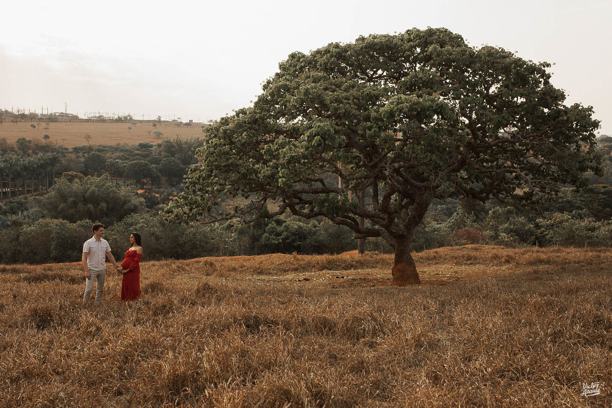 aluguel de roupa para ensaio, belo horizonte, ensaio de gestante, espaço shangrilá, família, filho, fotografia, fotógrafo, fotógrafo de gestante, gestação, local para tirar fotos, m dress, mãe de menino, mateus leme. local para fazer ensaio de gestante, p