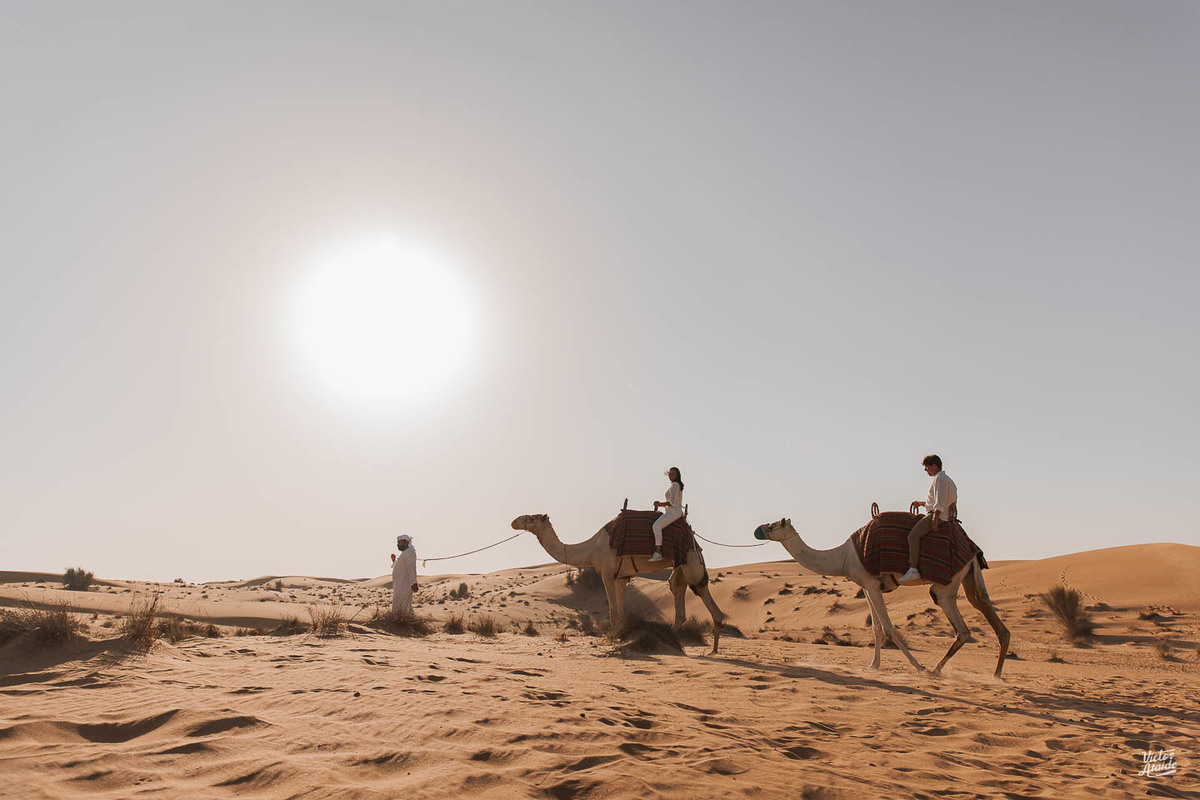 aquário, aquarium dubai mall, at the top, belo horizonte, burj al arab, burj khalifa, deserto, dubai, emirados árabes unidos, ensaio de casal, ensaio de casamento, ensaio lua de mel, the palm, wings of mexico, vôo de balão, pós-casamento, pré-wedding