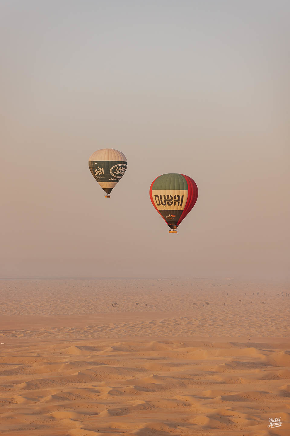 aquário, aquarium dubai mall, at the top, belo horizonte, burj al arab, burj khalifa, deserto, dubai, emirados árabes unidos, ensaio de casal, ensaio de casamento, ensaio lua de mel, the palm, vôo de balão, pós-casamento, camelo, calor do deserto