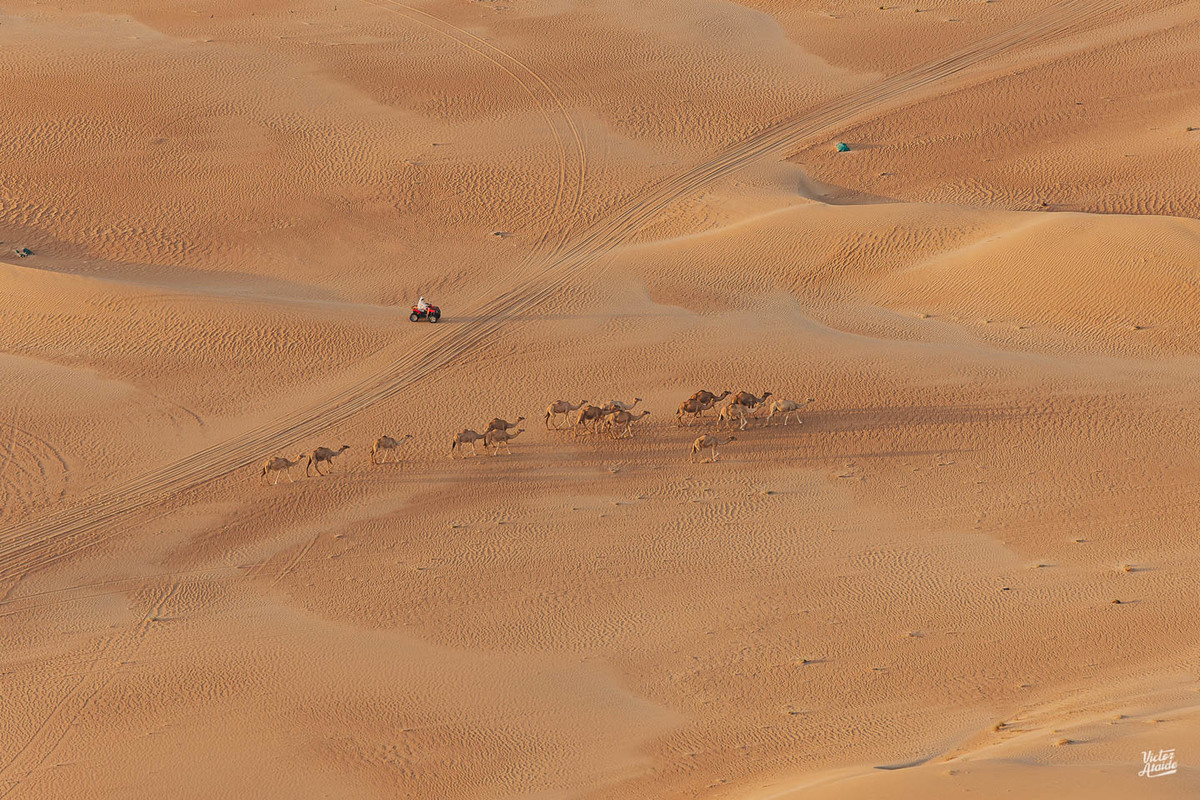 aquário, aquarium dubai mall, at the top, belo horizonte, burj al arab, burj khalifa, deserto, dubai, emirados árabes unidos, ensaio de casal, ensaio de casamento, ensaio lua de mel, the palm, vôo de balão, pós-casamento, camelo, calor do deserto