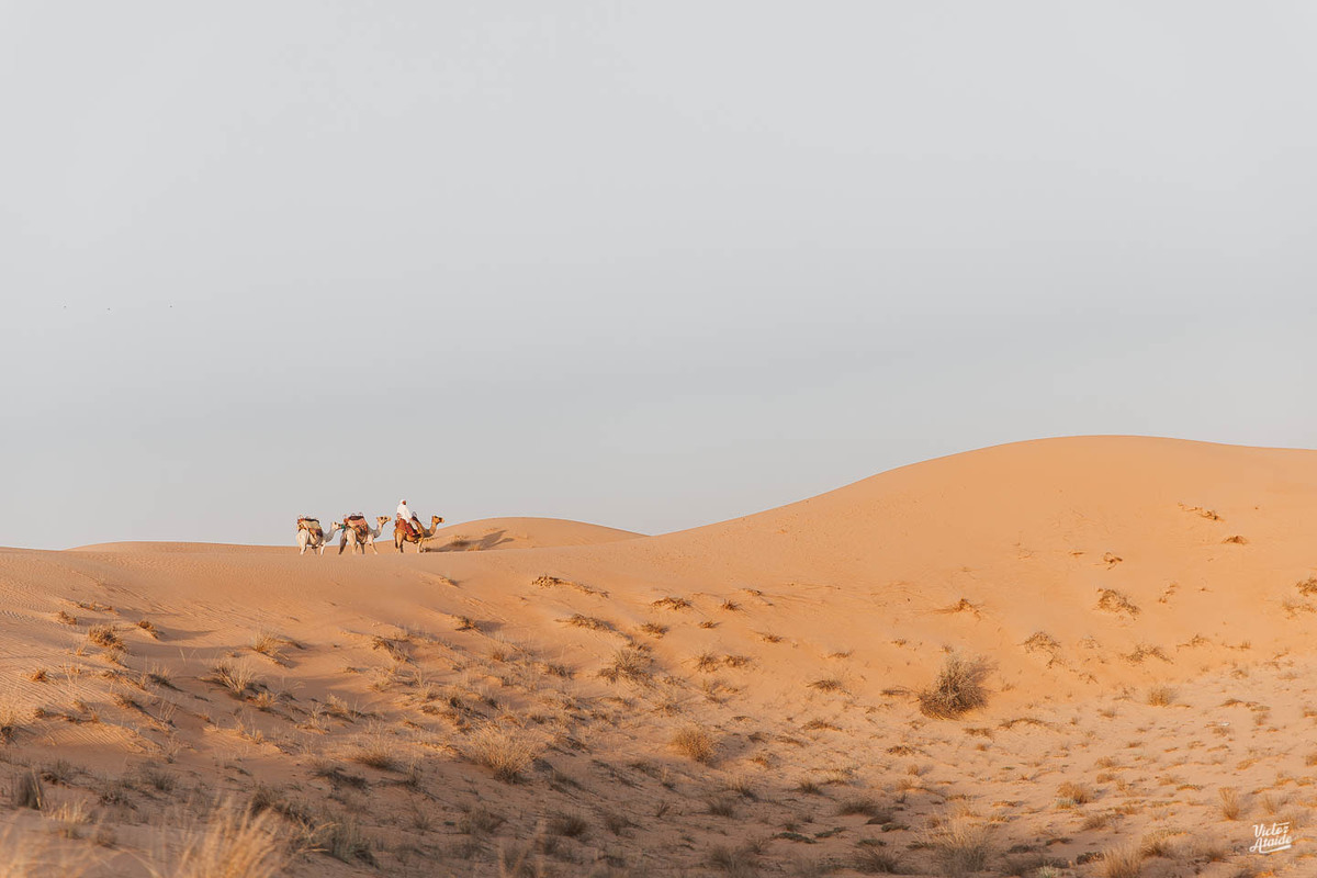 aquário, aquarium dubai mall, at the top, belo horizonte, burj al arab, burj khalifa, deserto, dubai, emirados árabes unidos, ensaio de casal, ensaio de casamento, ensaio lua de mel, the palm, wings of mexico, vôo de balão, pós-casamento, pré-wedding