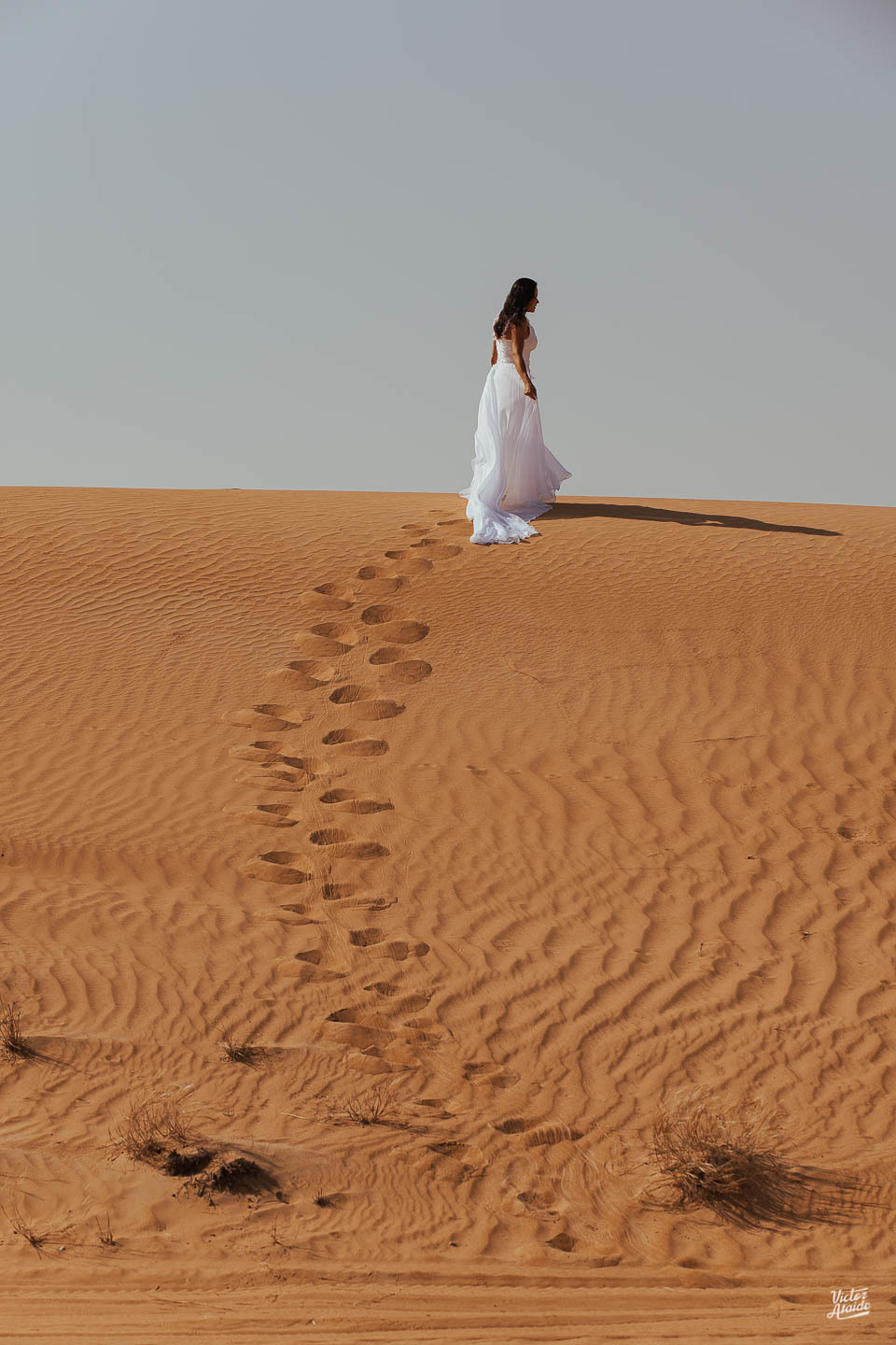 aquário, aquarium dubai mall, at the top, belo horizonte, burj al arab, burj khalifa, deserto, dubai, emirados árabes unidos, ensaio de casal, ensaio de casamento, ensaio lua de mel, the palm, vôo de balão, pós-casamento, camelo, calor do deserto