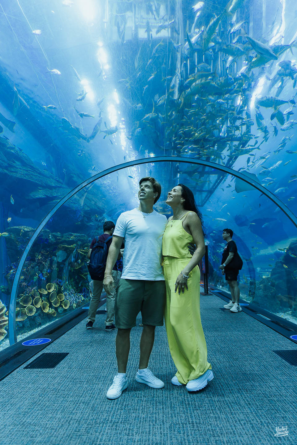 aquário, aquarium dubai mall, at the top, belo horizonte, burj al arab, burj khalifa, deserto, dubai, emirados árabes unidos, ensaio de casal, ensaio de casamento, ensaio lua de mel, the palm, wings of mexico, vôo de balão, pós-casamento, pré-wedding