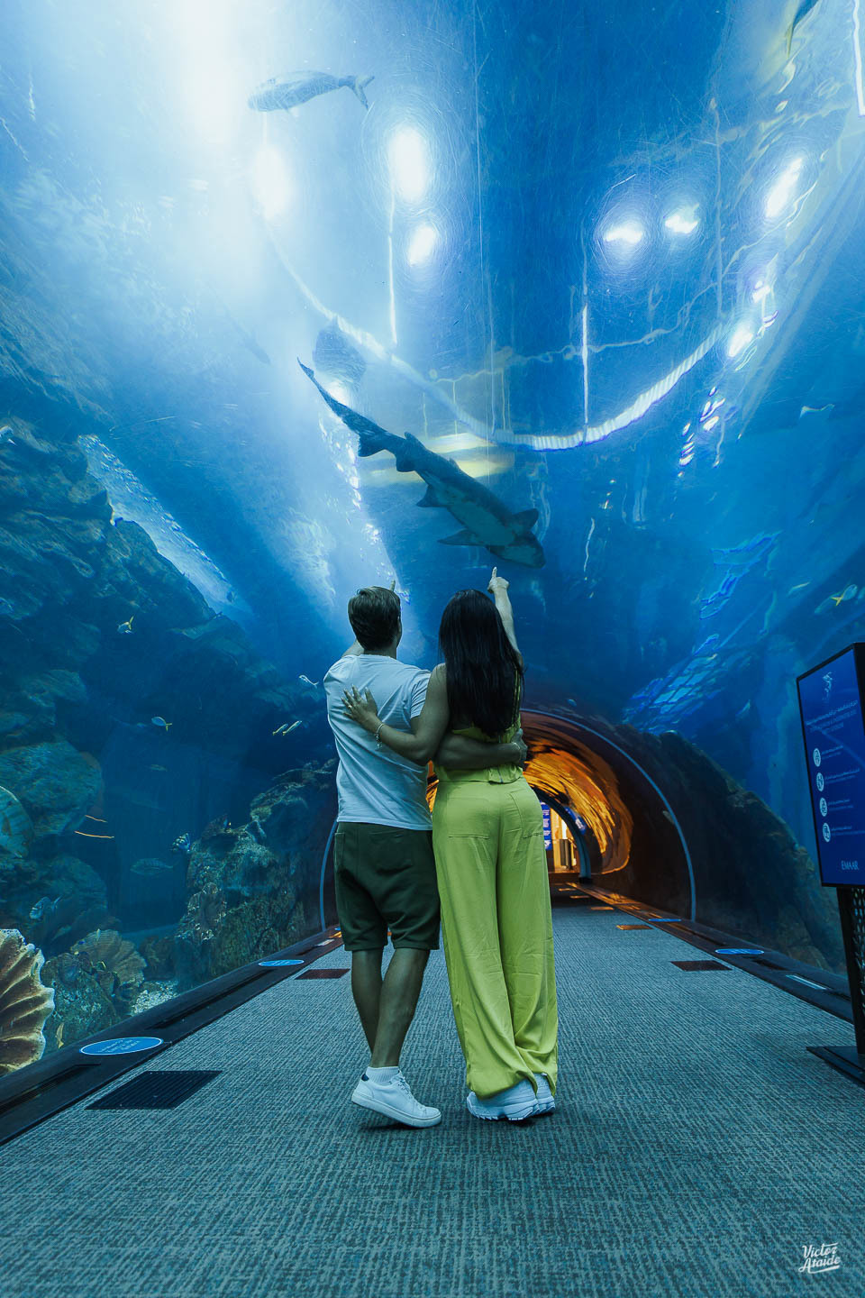 aquário, aquarium dubai mall, at the top, belo horizonte, burj al arab, burj khalifa, deserto, dubai, emirados árabes unidos, ensaio de casal, ensaio de casamento, ensaio lua de mel, the palm, wings of mexico, vôo de balão, pós-casamento, pré-wedding