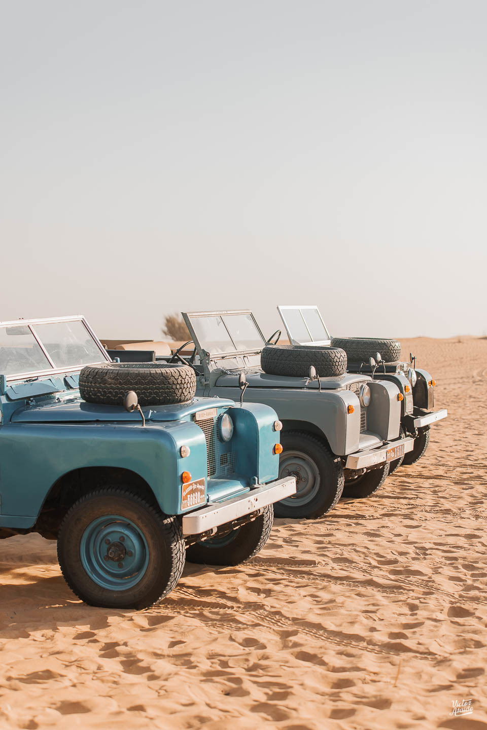 aquário, aquarium dubai mall, at the top, belo horizonte, burj al arab, burj khalifa, deserto, dubai, emirados árabes unidos, ensaio de casal, ensaio de casamento, ensaio lua de mel, the palm, wings of mexico, vôo de balão, pós-casamento, pré-wedding