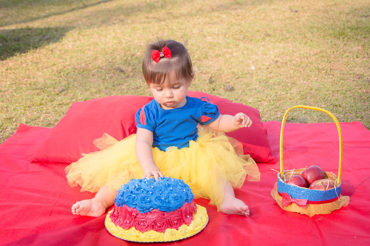 Smash the Cake SP - Fotos de Smash the cake SP - Smash SP - 1 ano do bebê - Parque do Carmo SP