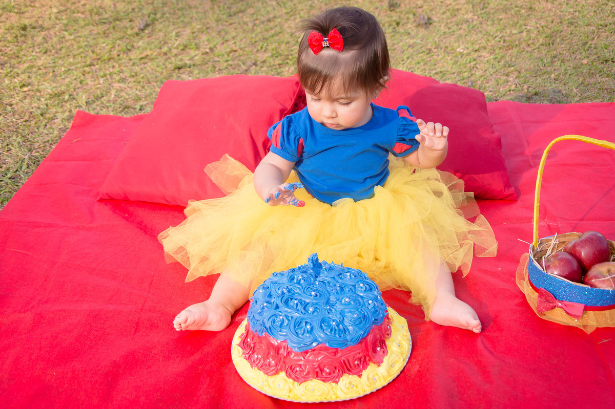 Smash the Cake SP - Fotos de Smash the cake SP - Smash SP - 1 ano do bebê - Parque do Carmo SP