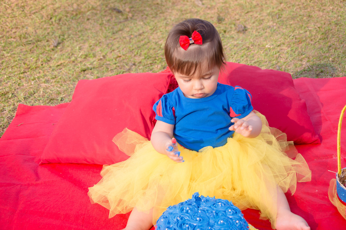 Smash the Cake SP - Fotos de Smash the cake SP - Smash SP - 1 ano do bebê - Parque do Carmo SP