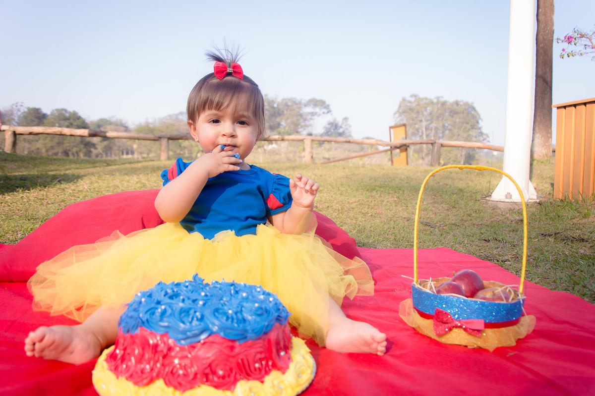 Smash the Cake SP - Fotos de Smash the cake SP - Smash SP - 1 ano do bebê - Parque do Carmo SP