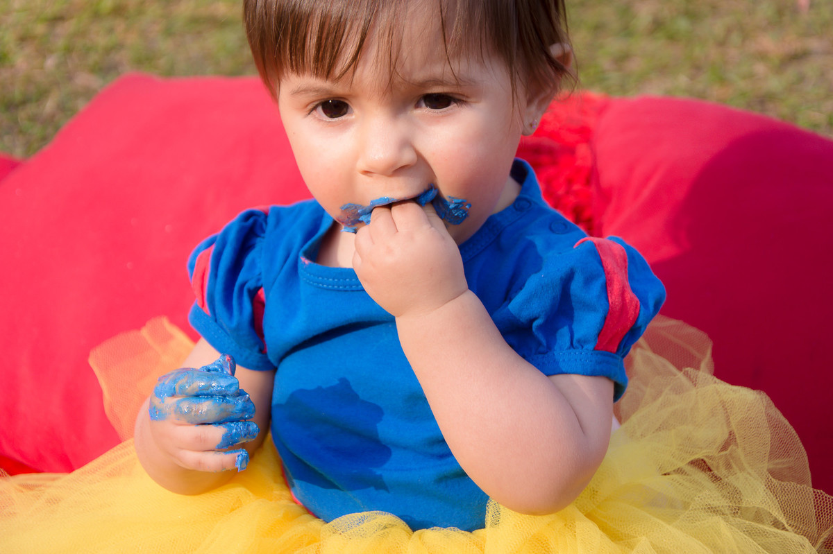 Smash the Cake SP - Fotos de Smash the cake SP - Smash SP - 1 ano do bebê - Parque do Carmo SP