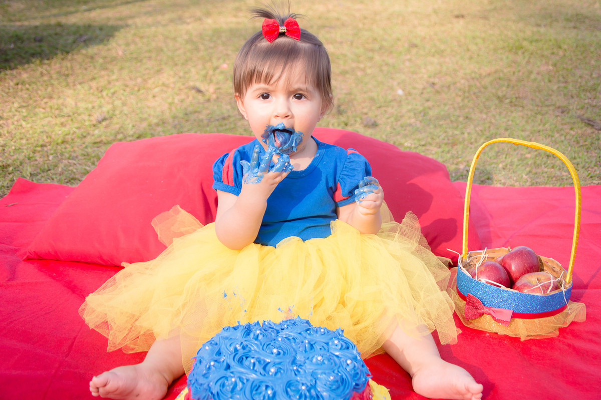 Smash the Cake SP - Fotos de Smash the cake SP - Smash SP - 1 ano do bebê - Parque do Carmo SP