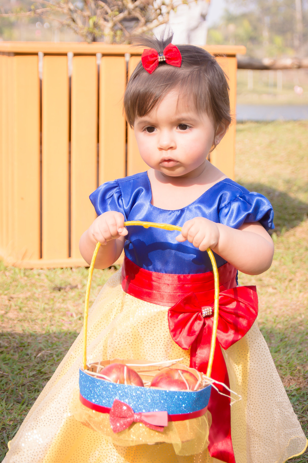 Smash the Cake SP - Fotos de Smash the cake SP - Smash SP - 1 ano do bebê - Parque do Carmo SP