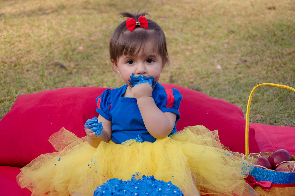 Smash the Cake SP - Fotos de Smash the cake SP - Smash SP - 1 ano do bebê - Parque do Carmo SP