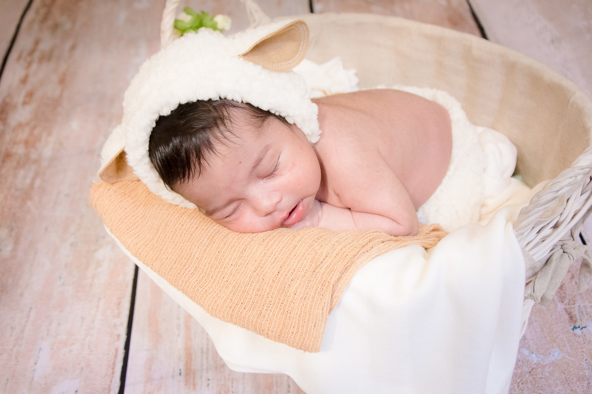 Ensaio Newborn SP - Newborn SP - Fotos Newborn SP - Fotografos Newborn SP - Book Newborn SP - Projeto oi bebê - projeto oi bebe