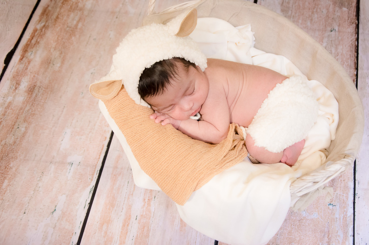 Ensaio Newborn SP - Newborn SP - Fotos Newborn SP - Fotografos Newborn SP - Book Newborn SP - Projeto oi bebê - projeto oi bebe