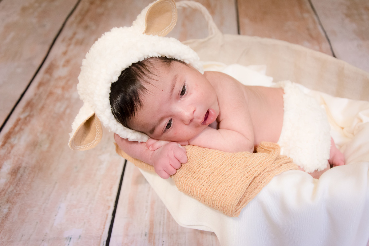 Ensaio Newborn SP - Newborn SP - Fotos Newborn SP - Fotografos Newborn SP - Book Newborn SP - Projeto oi bebê - projeto oi bebe