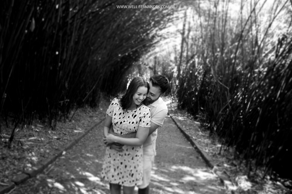 Noiva e noivo se abraçando em meio ao bambuzal 