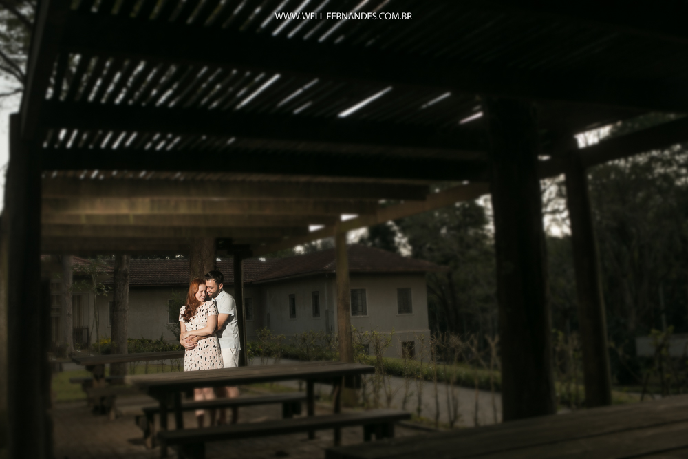 noiva e noivo em chamego em um piqui nique 