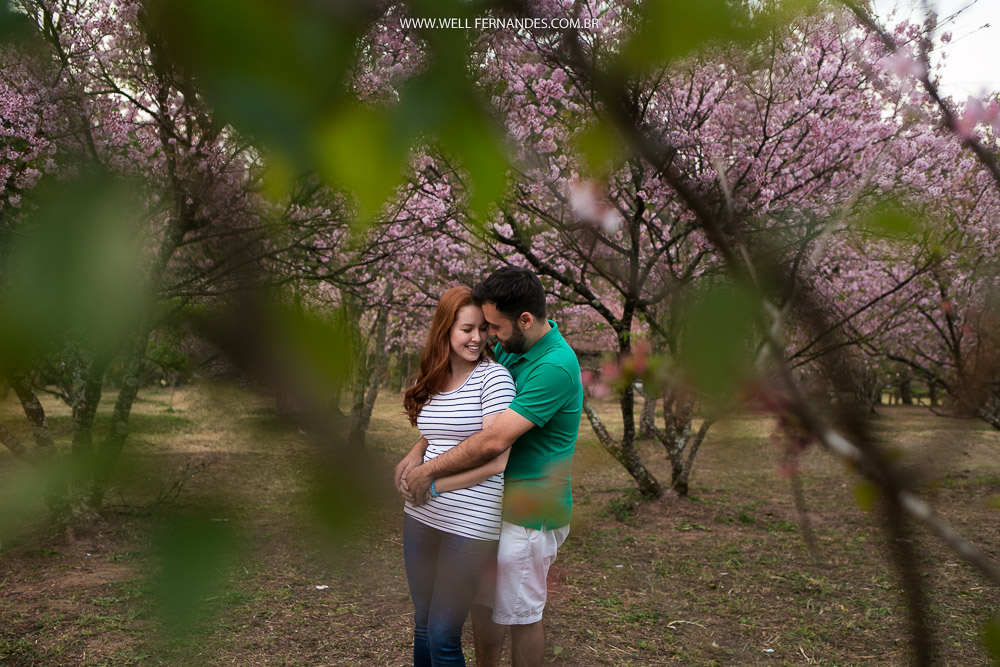 aconchego do noivo e da noiva no parque das cerejeiras 
