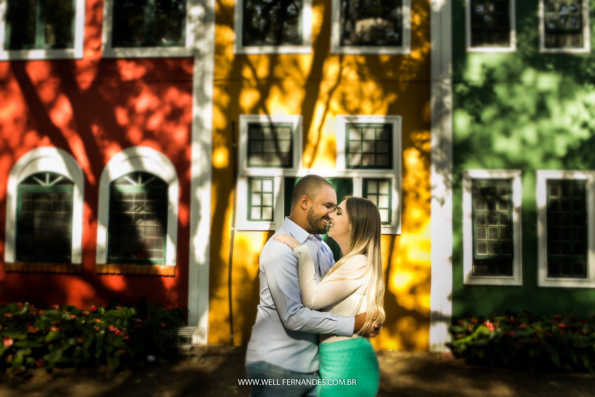 ensaio paredes coloridas de holambra