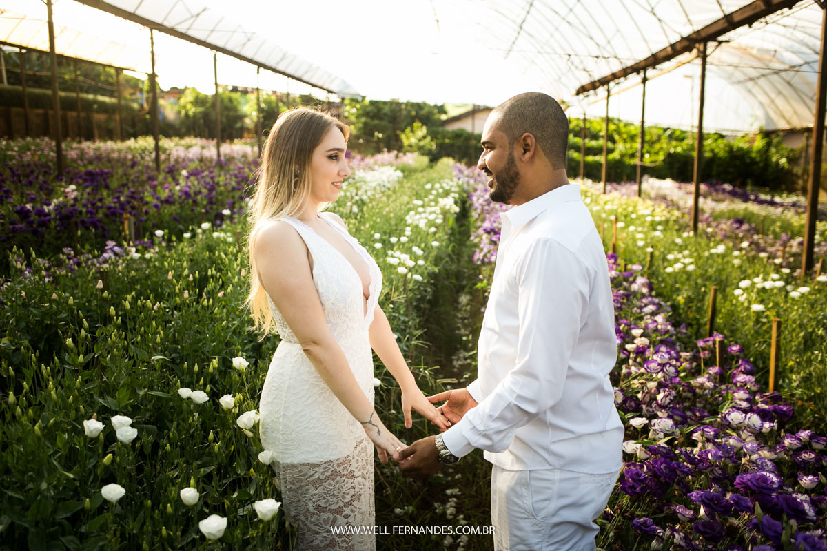 ensaio em meios as flores de holambra