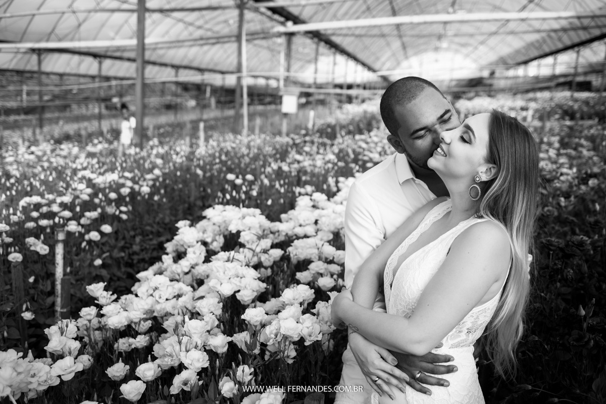 casal em p&B holambra