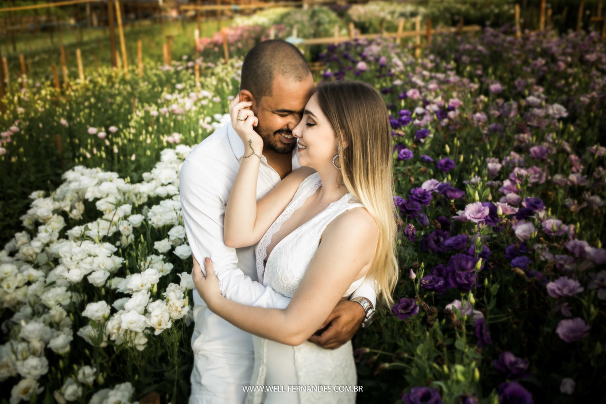 foto apaixonante em holambra