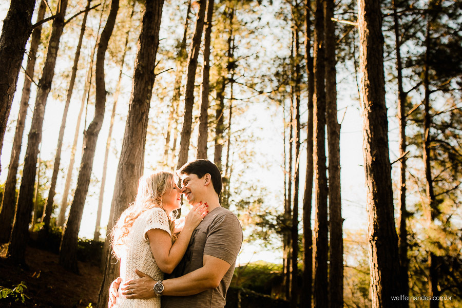 carinho dos noivos entre as arvores e o por do sol