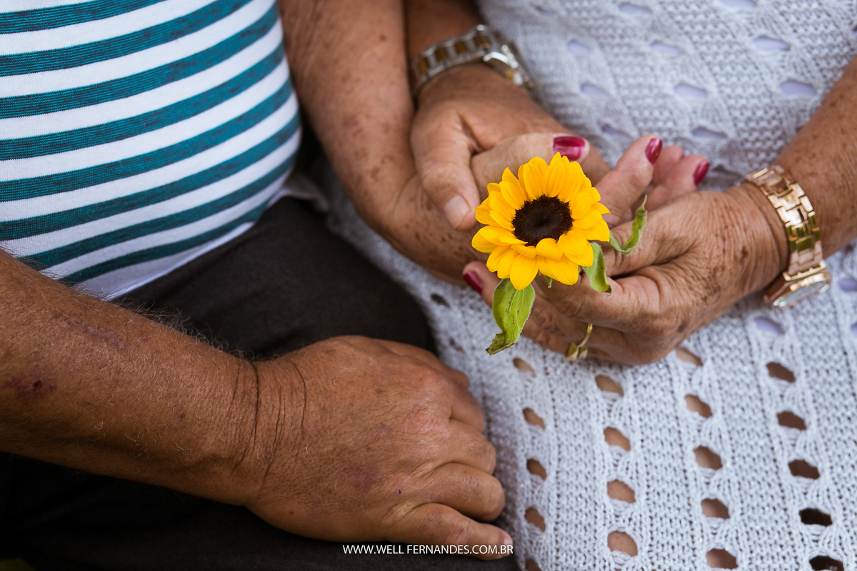 casal idoso apaixonado segurando um flor amarela