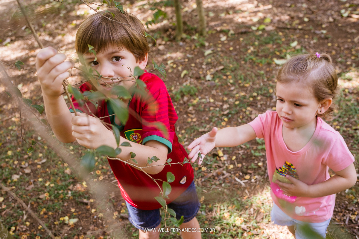 crianças brincando e puxando os galhos da arvore