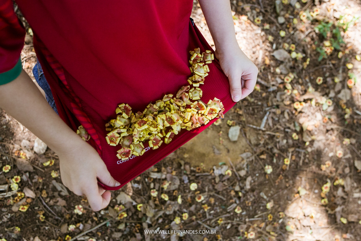 filho catando flor no chão do parque Ibirapuera