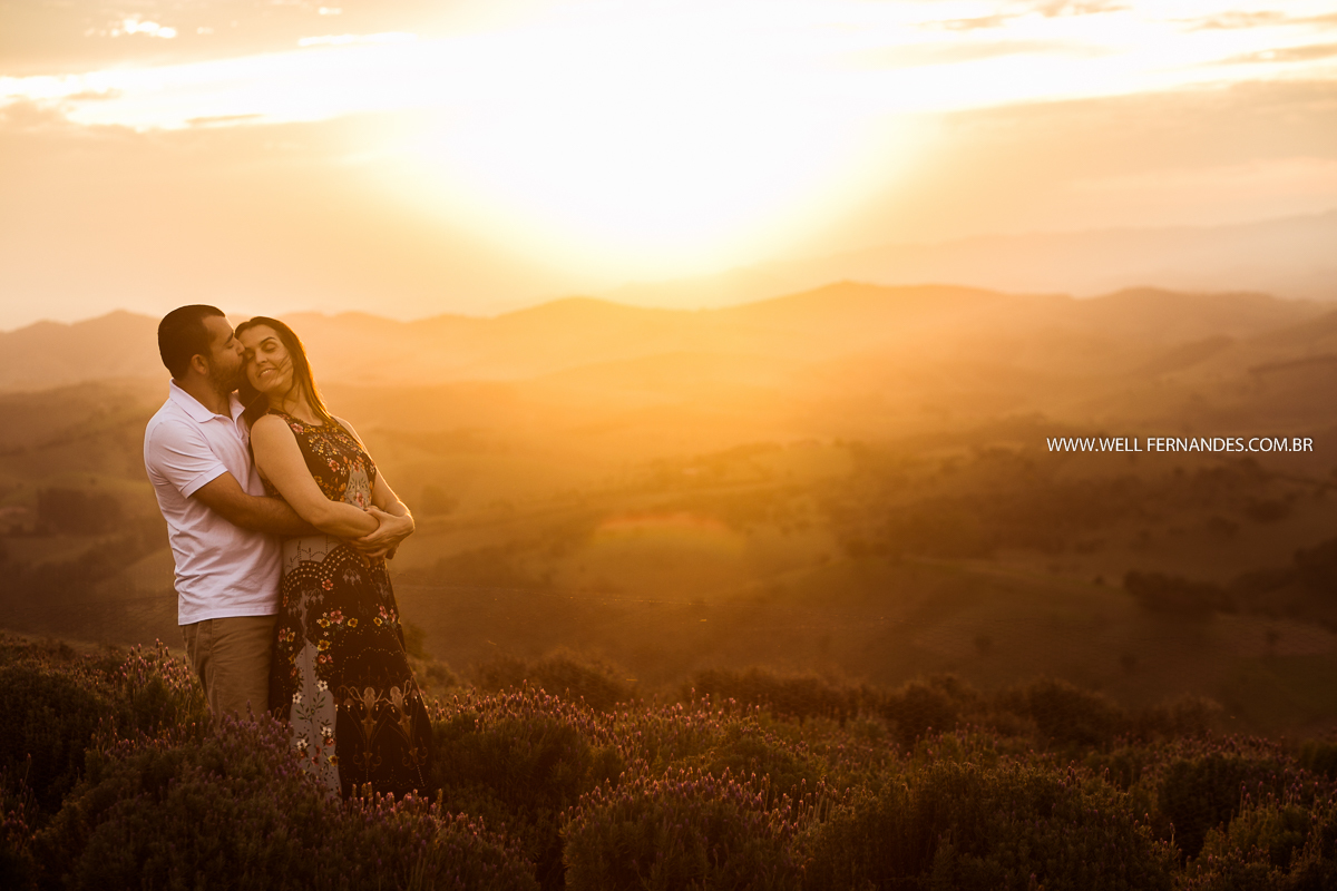 por do sol espetacular  em meio as lavandas de cunha