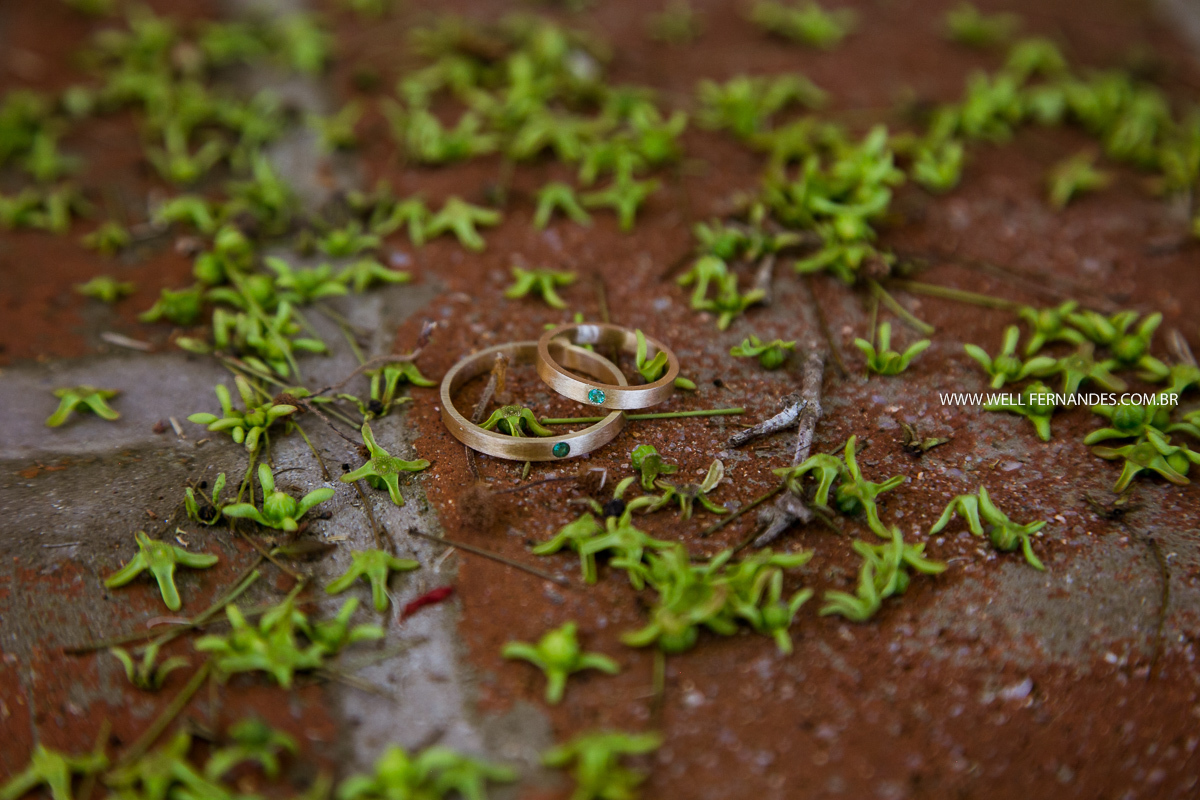 foto das alianças no mato