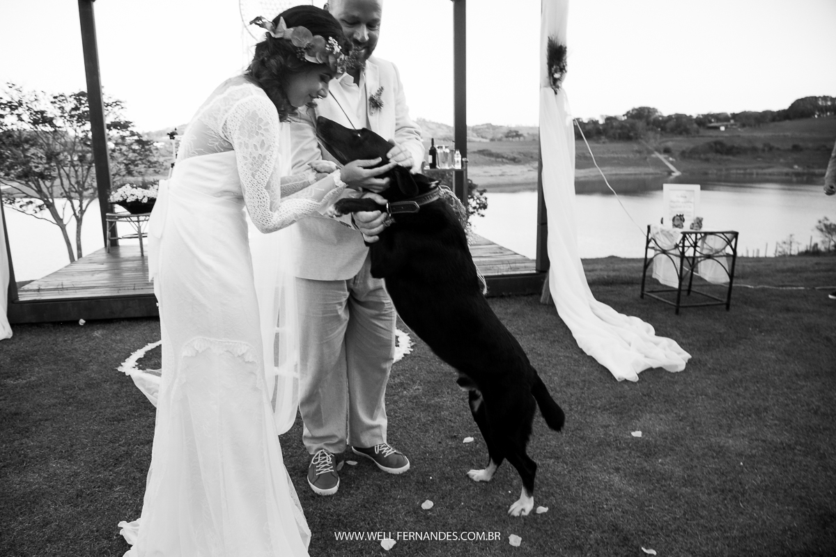 cachorro abraçando o casal de noivos na cerimonia