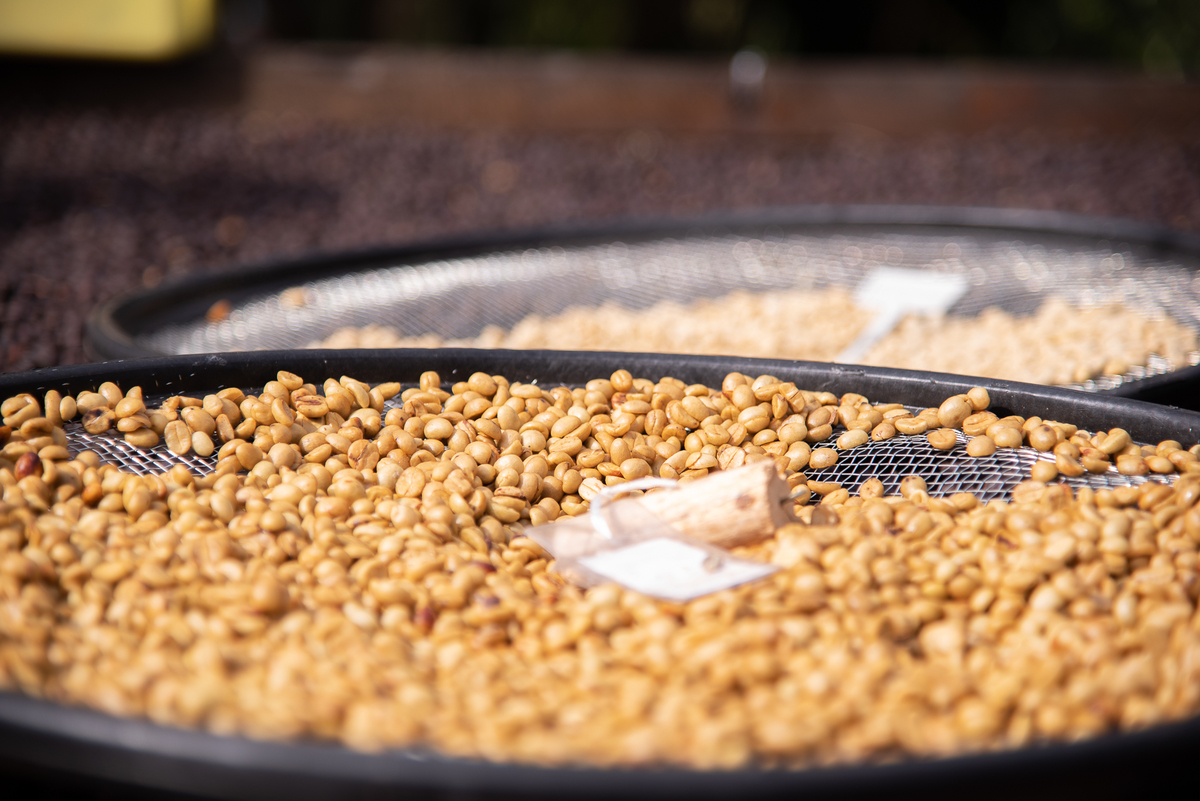 Café especial selecionado