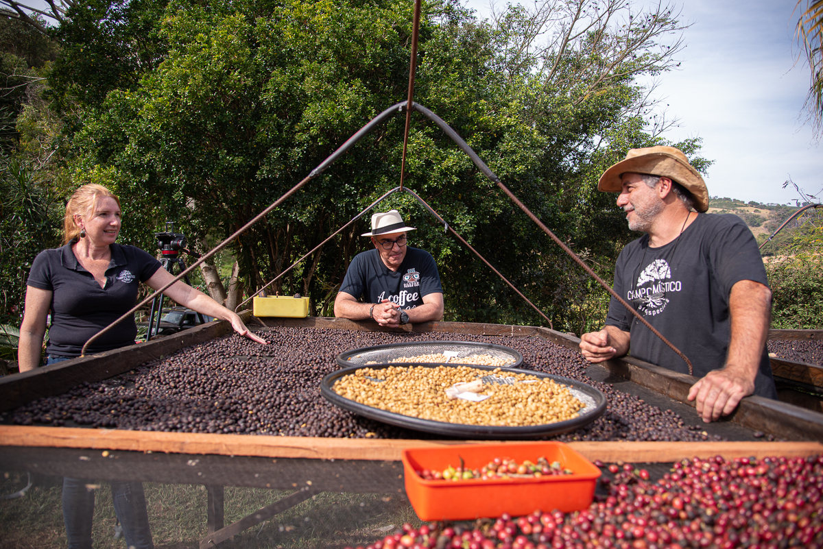 Café preparado para a escolha