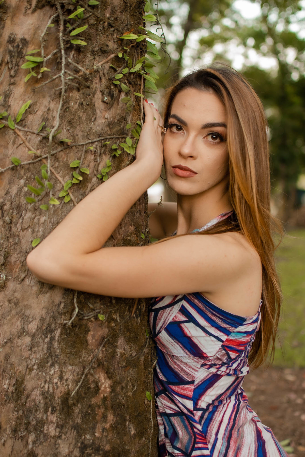 foto de perfil na árvore