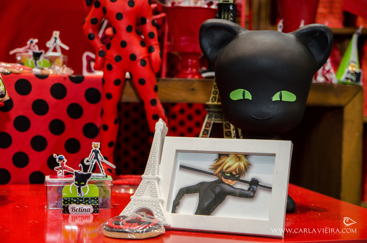 Festa Infantil; Lady Bug; Fotógrafa de Família; Carla Vieira Fotografia