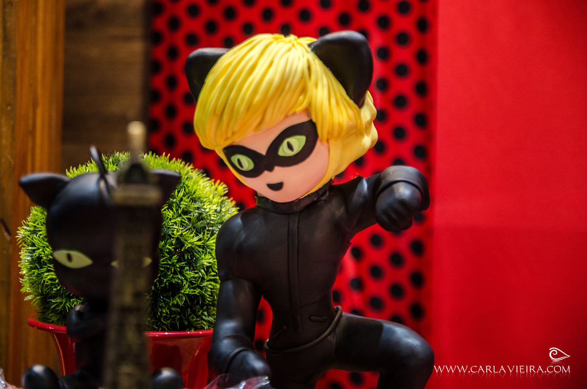 Festa Infantil; Lady Bug; Fotógrafa de Família; Carla Vieira Fotografia